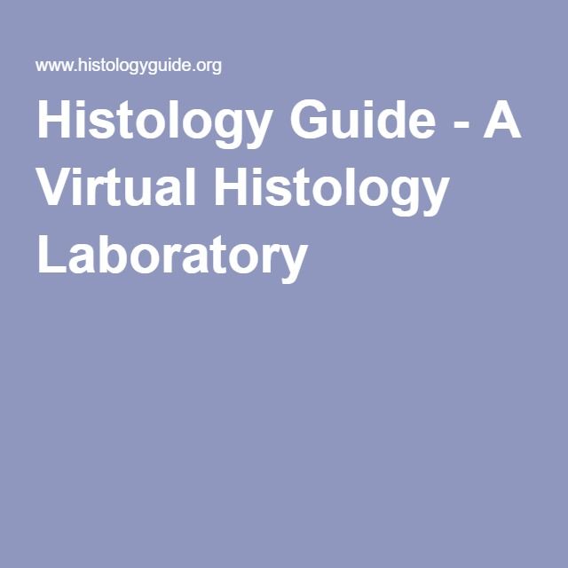 virtual histology laboratory